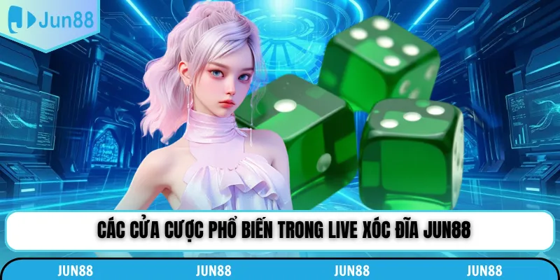 Các cửa cược phổ biến trong live xóc đĩa Jun88